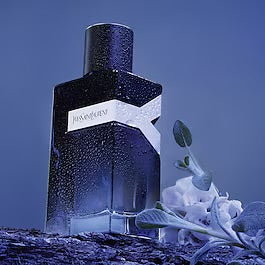 YVES SAINT LAURENT